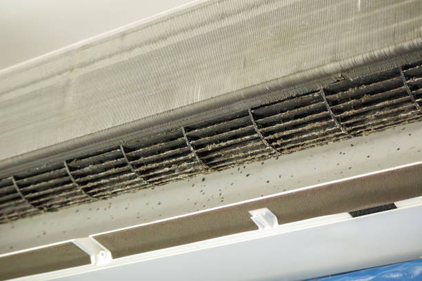 Best Best Air Duct Cleaning Near Me  in Mead Valley, CA