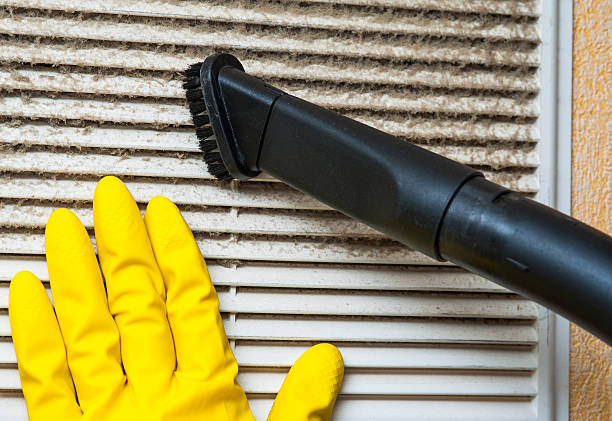 Best Professional Duct Cleaning Services  in Mead Valley, CA